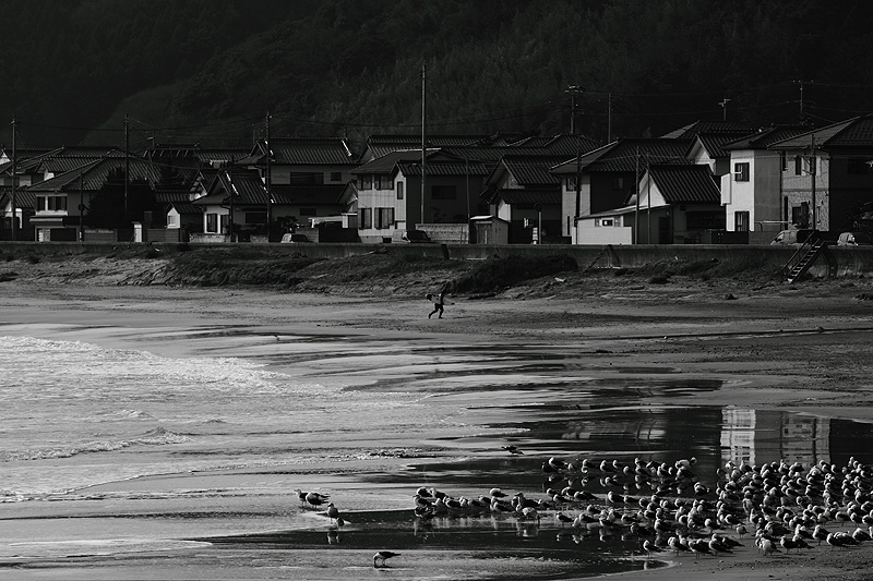 20101212_サーフィン撮影　豊間海岸