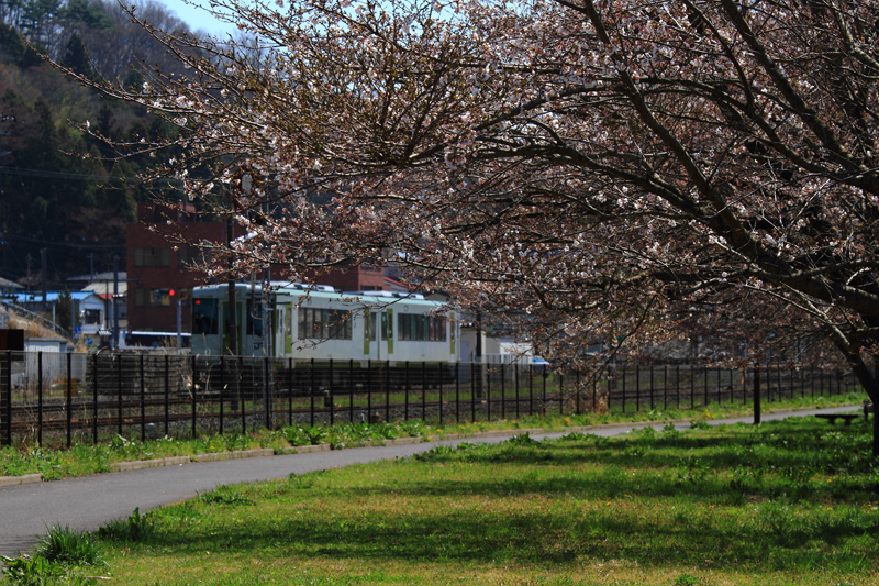 三春駅と桜と磐越東線