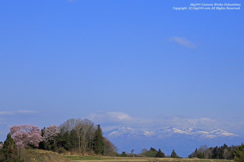 20140419_安達太良連峰と桜