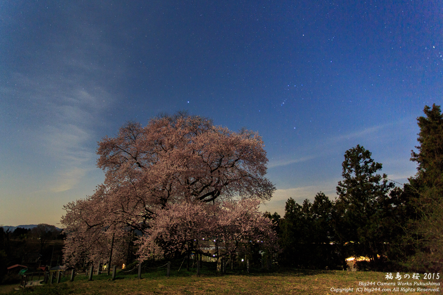 20150402_戸津辺の桜01-矢祭町