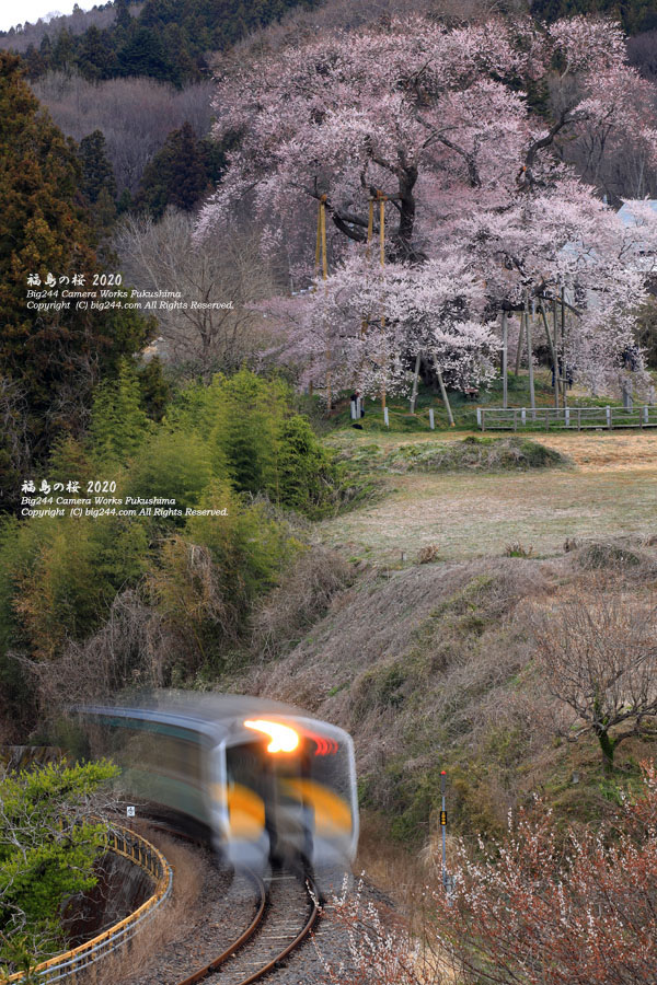 2020-03-26_矢祭町-戸津辺の桜-02